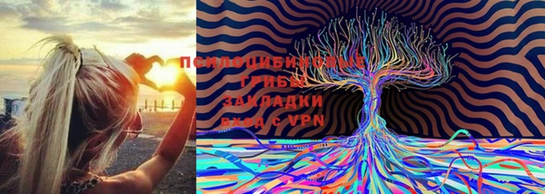 марихуана Нефтекумск