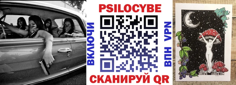 Галлюциногенные грибы Psilocybe  Омск 